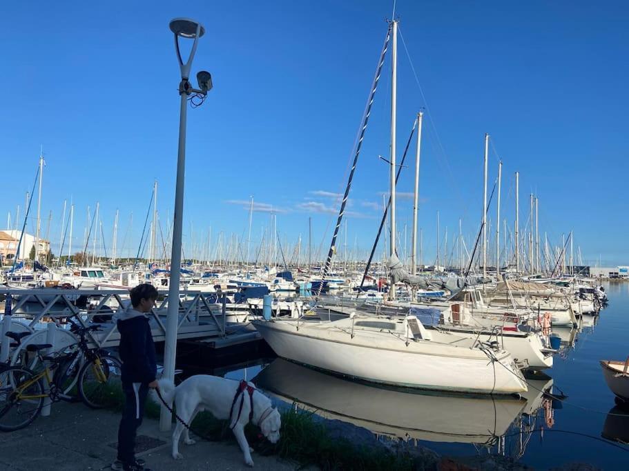Les Voiles Blanches T2 Luxe A 100M De La Plage ลูกัท ภายนอก รูปภาพ